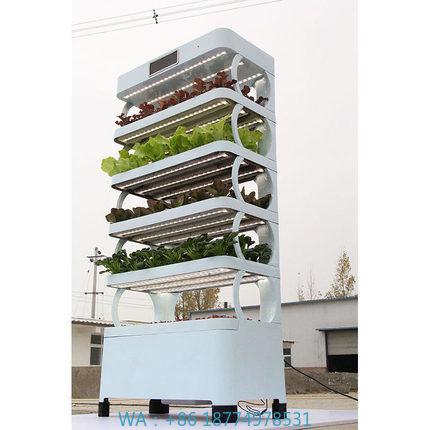 Hydroponic System - arming Home Hydroponic Growing SystemsNew Arrival