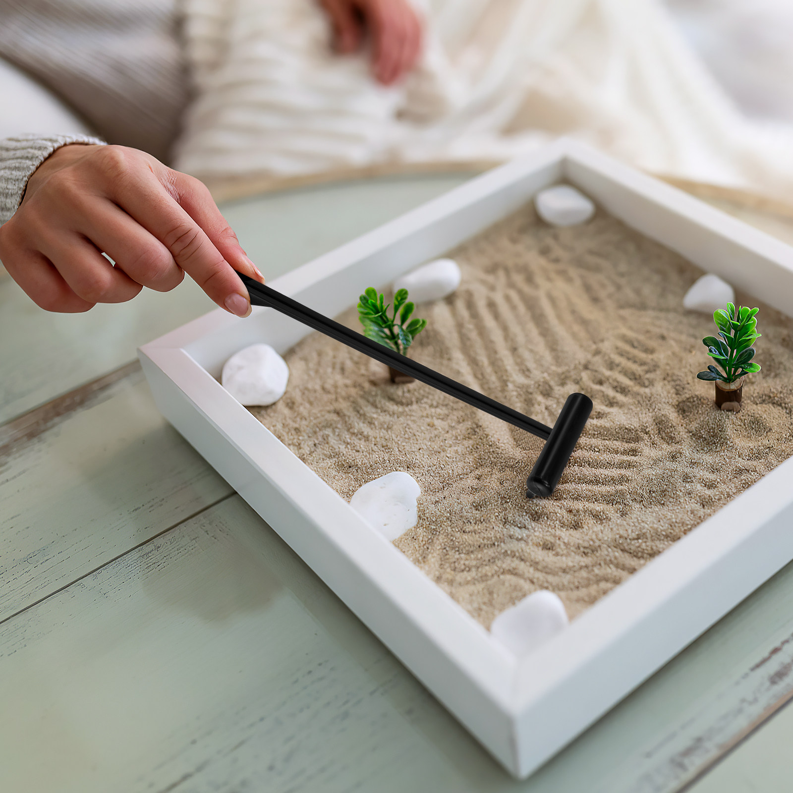 6Pcs Mini Zen Garden Rakes Pla - Gardening Tools Rake review and price