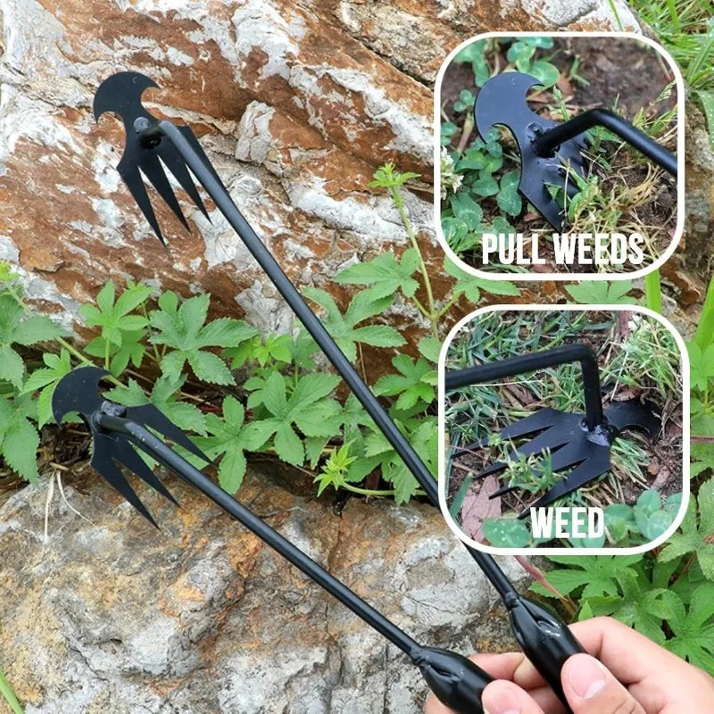 2 in 1 Garden Rake Manual Seed - Gardening Tools For Weeds review and price