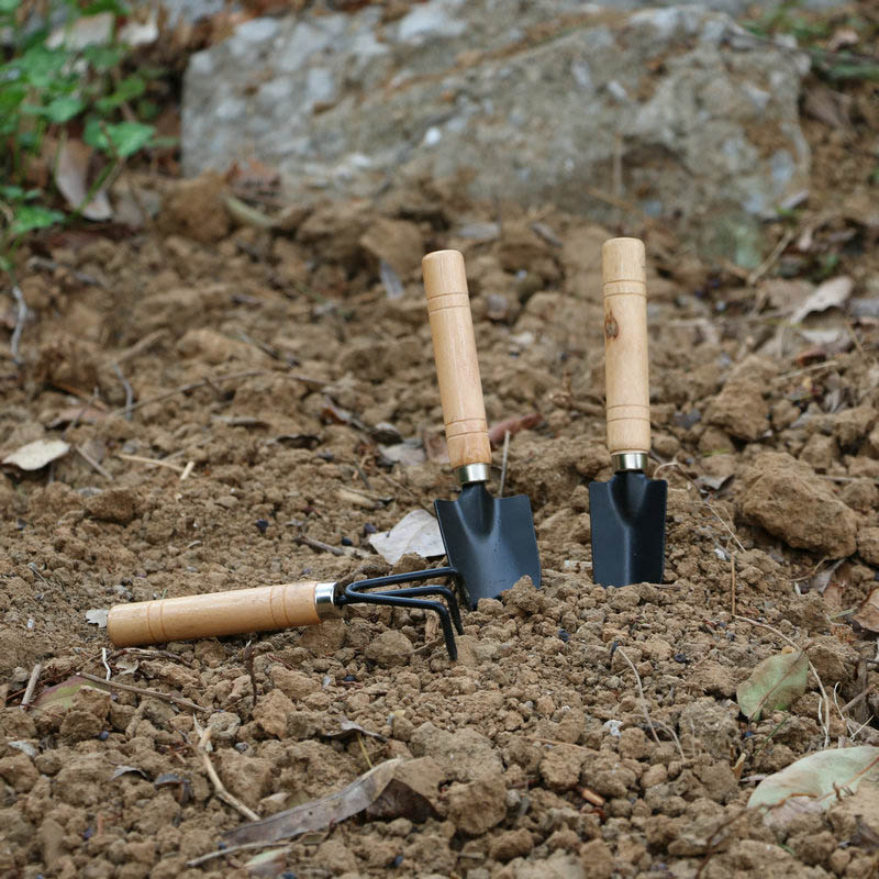 3Pcs/Set Mini Garden Tool Set  - Gardening Tools For Weeds review and price