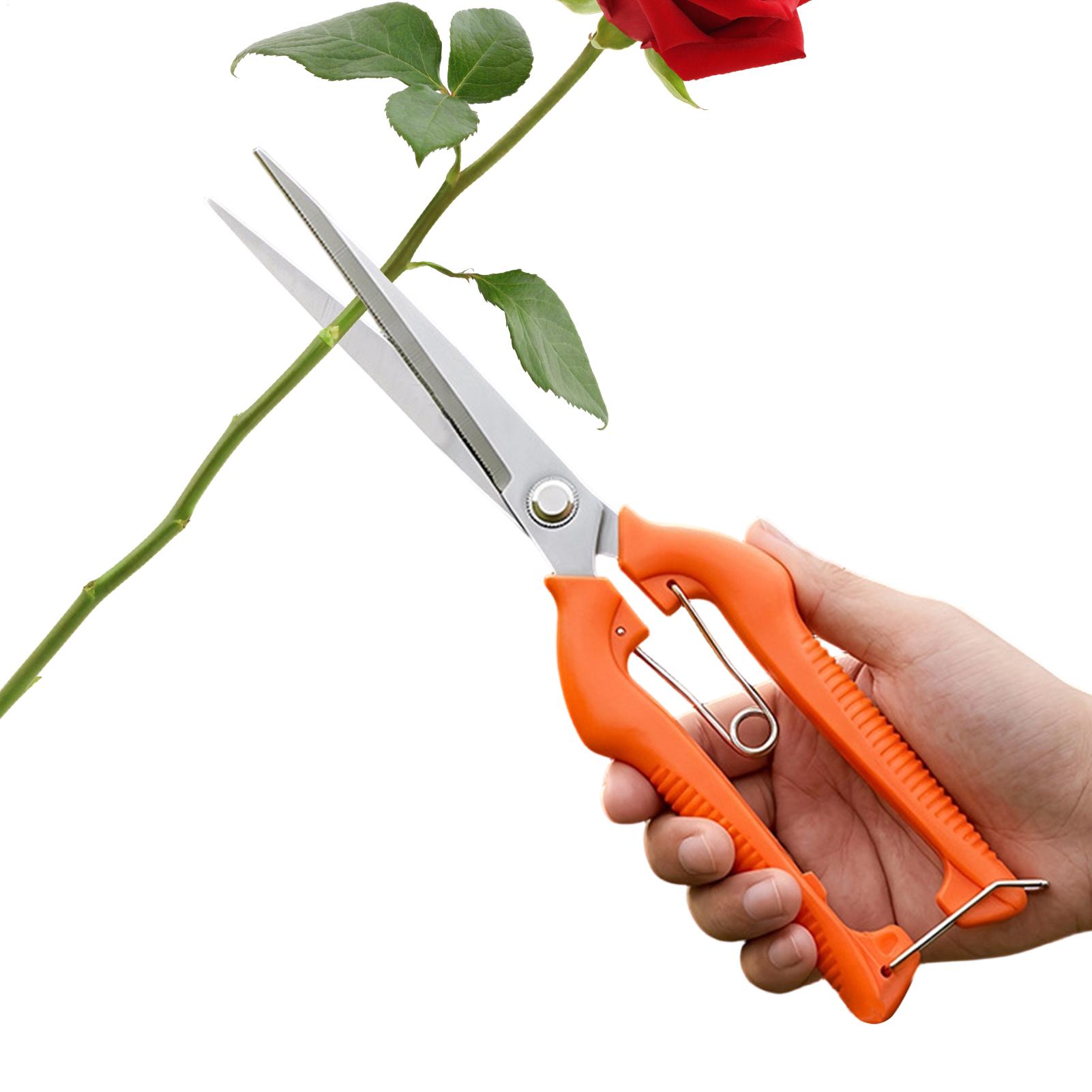 Pruning Shears Grape Scissors  - Gardening Tools Women review and price