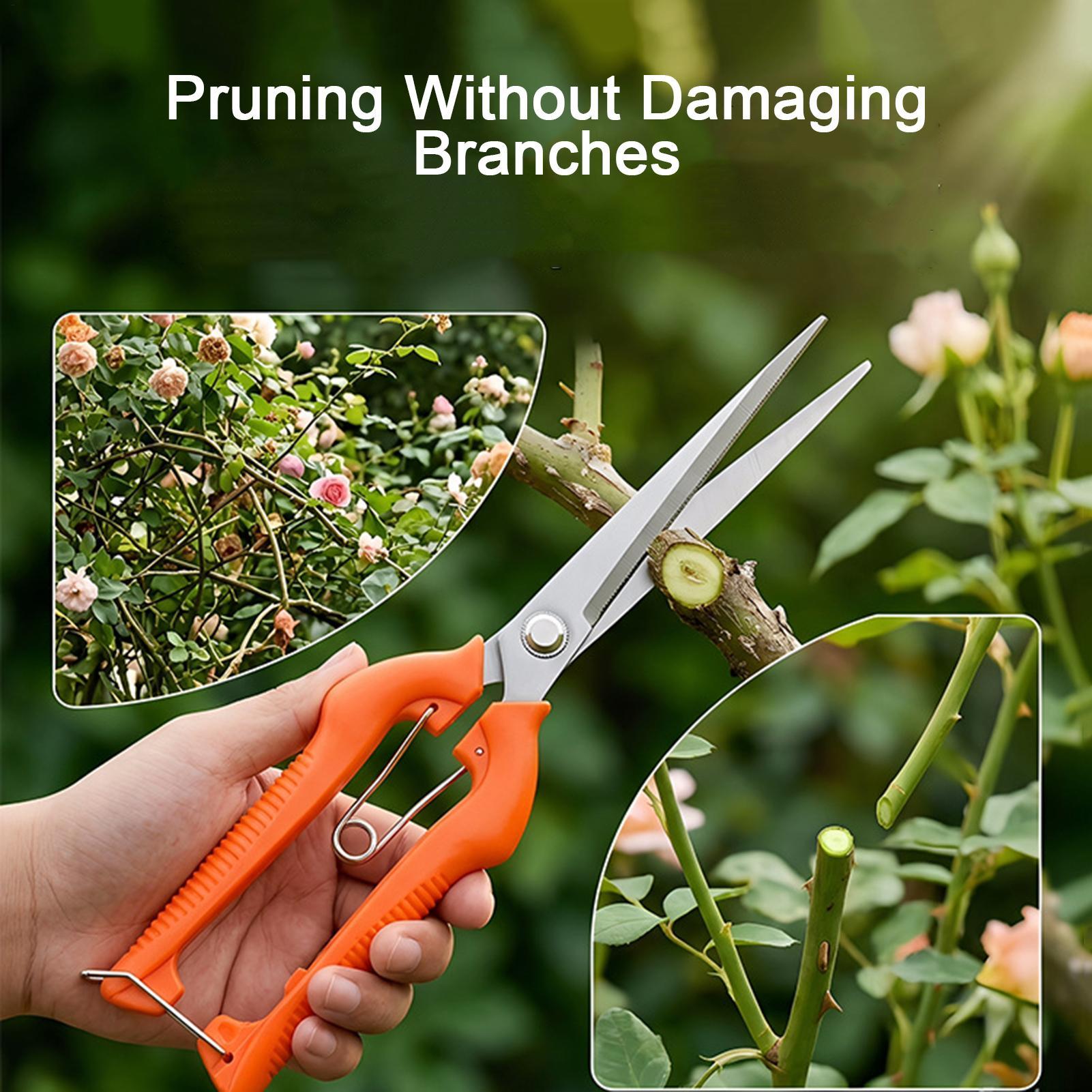 Pruning Shears Grape Scissors  - Gardening Tools Women review and price