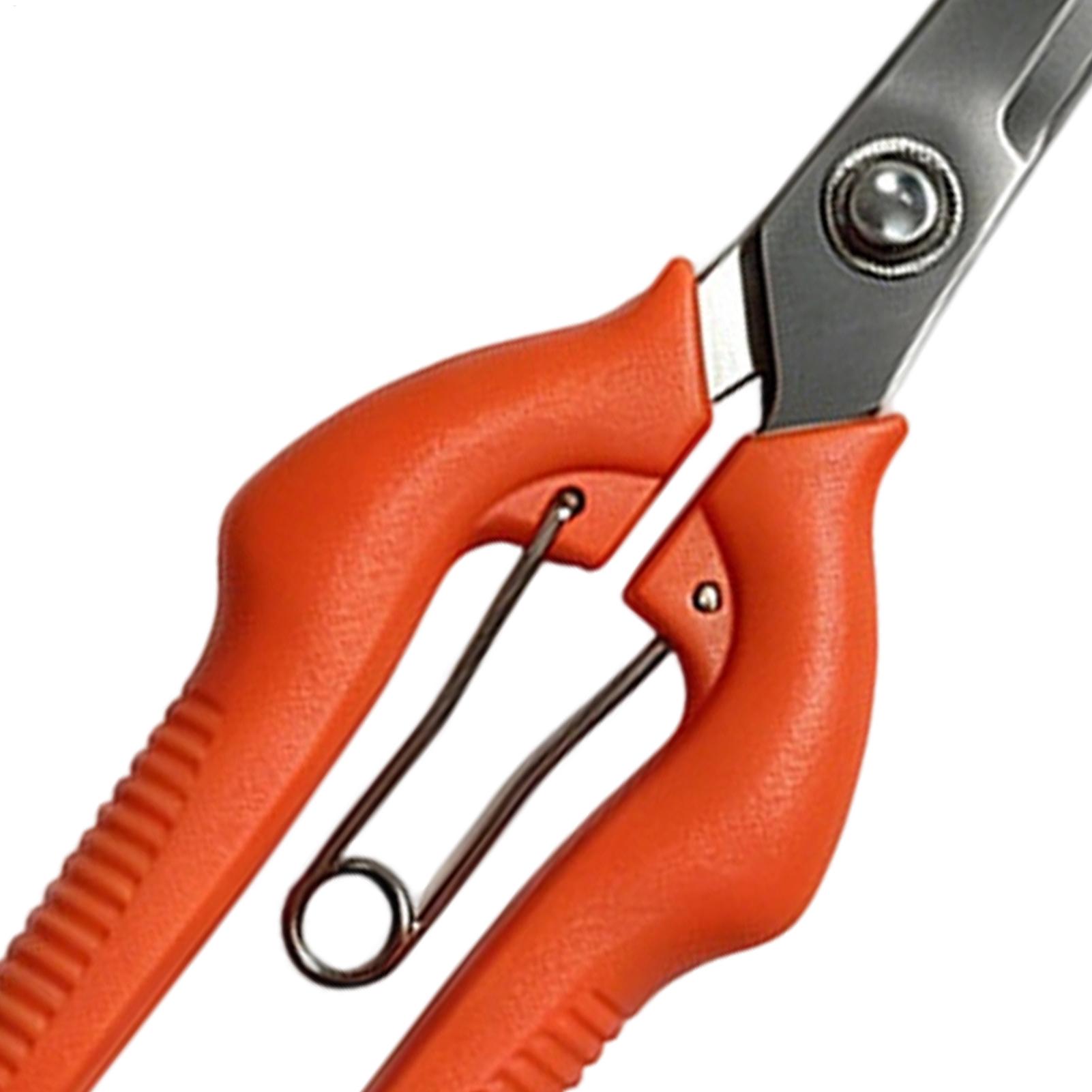 Pruning Shears Grape Scissors  - Gardening Tools Women review and price