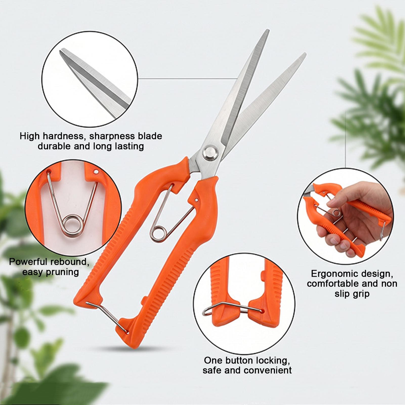 Pruning Shears Grape Scissors  - Gardening Tools Women review and price