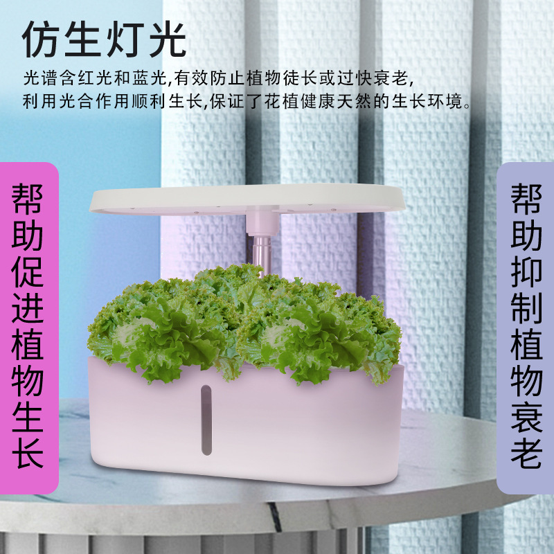Home Smart Hydroponic Vegetabl - Hydroponic System review and price