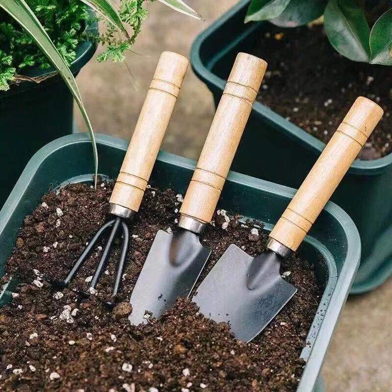 3Pcs Mini Gardening Tool Set w - Gardening Tools Rake review and price