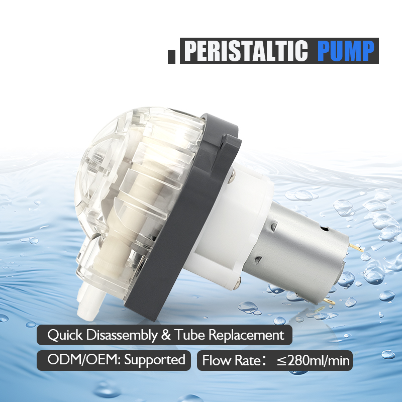 Low Noise 12V 24v Dc Motor 280 - Hydroponic System review and price