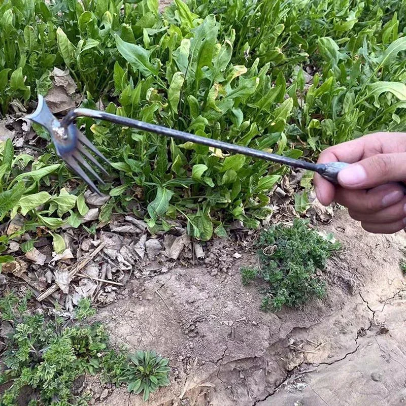 Garden Weeders Grass Hand Weed - Gardening Tools For Weeds review and price