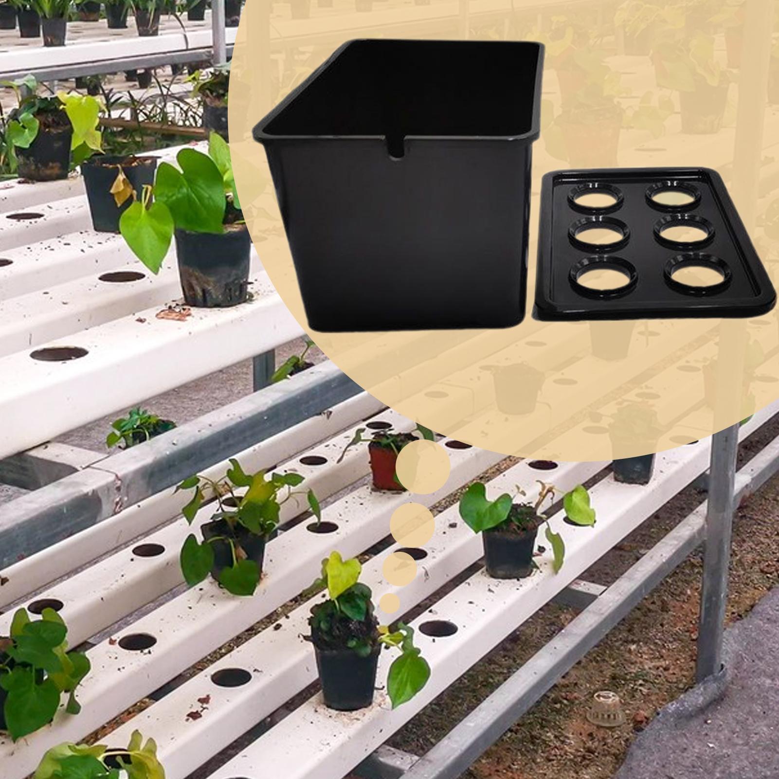 Hydroponic Planting Kit Beginn - Hydroponic System review and price