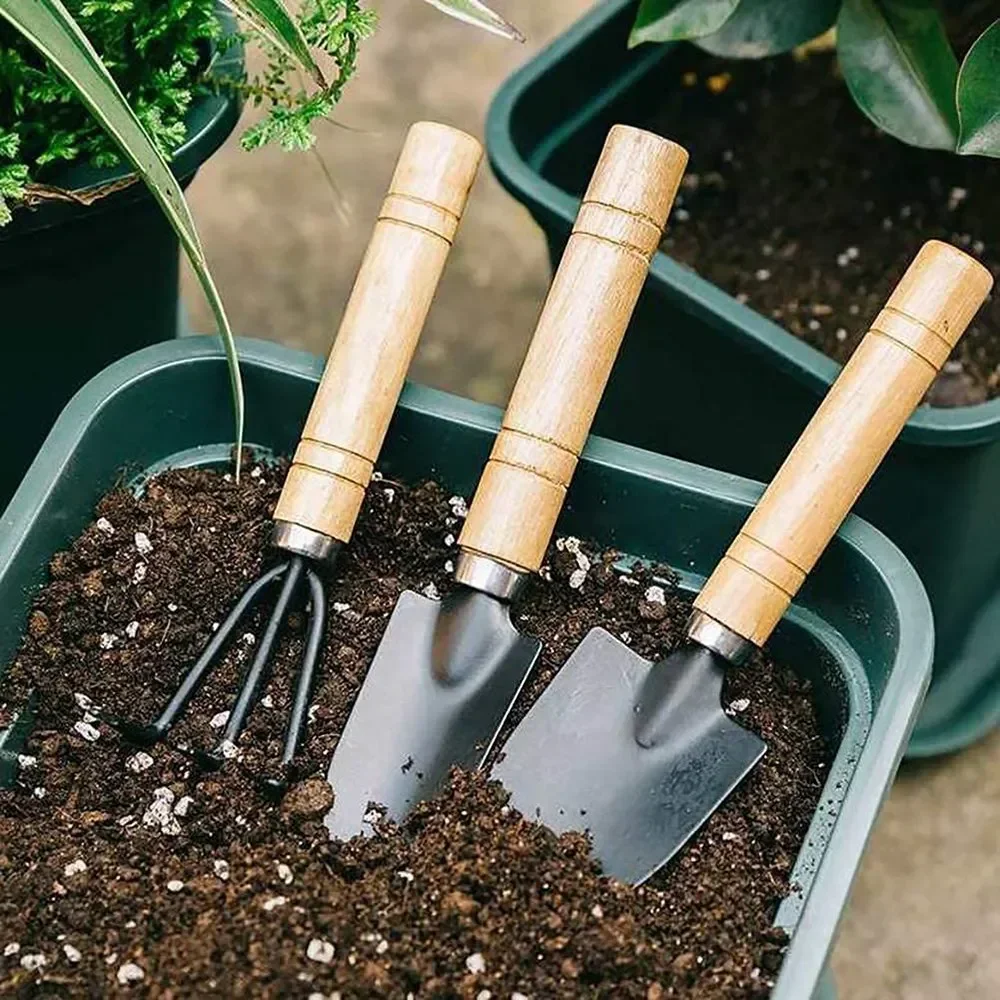 3Pcs/Set Mini Garden Tool Set  - Gardening Tools For Weeds review and price