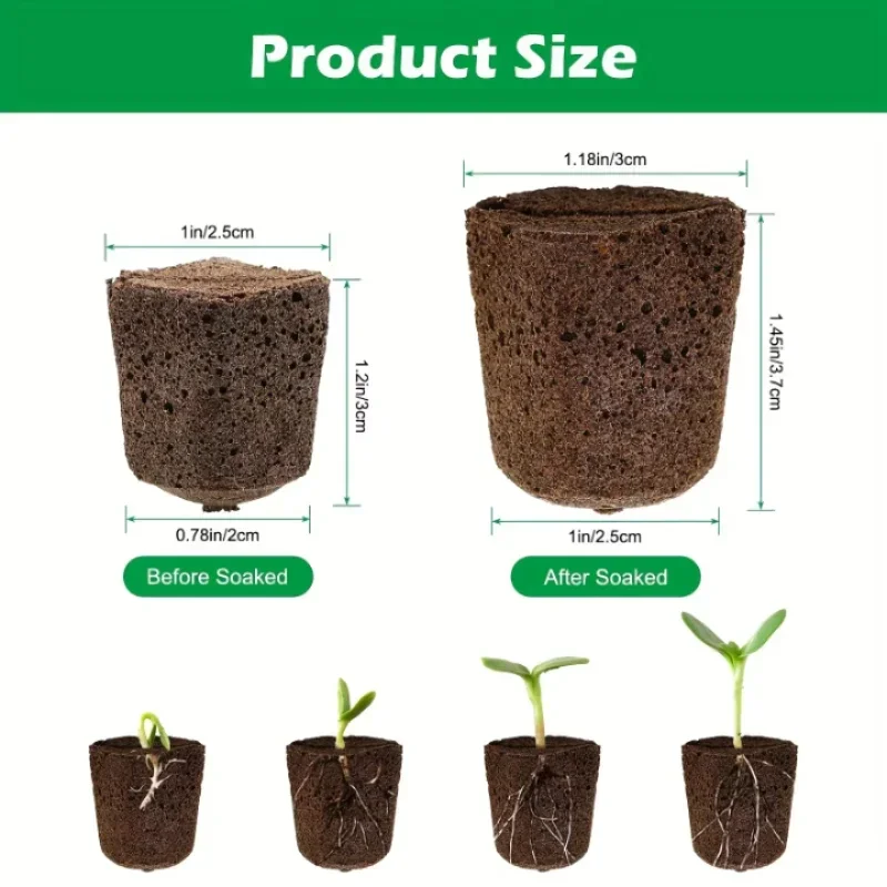 Seedling Starter Sponge Kit fo - Hydroponic System review and price