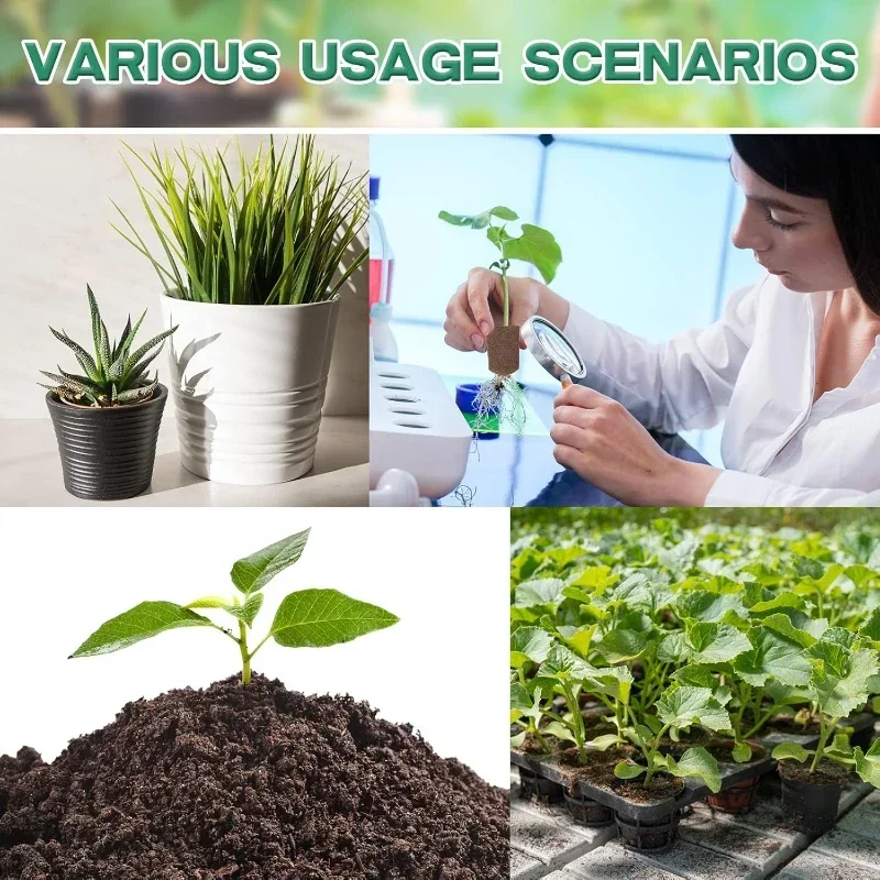Seedling Starter Sponge Kit fo - Hydroponic System review and price
