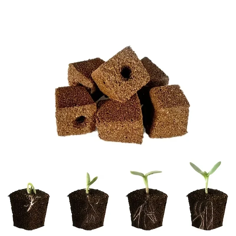 Seedling Starter Sponge Kit fo - Hydroponic System review and price