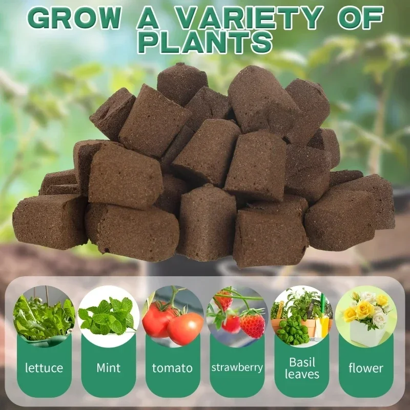 Seedling Starter Sponge Kit fo - Hydroponic System review and price