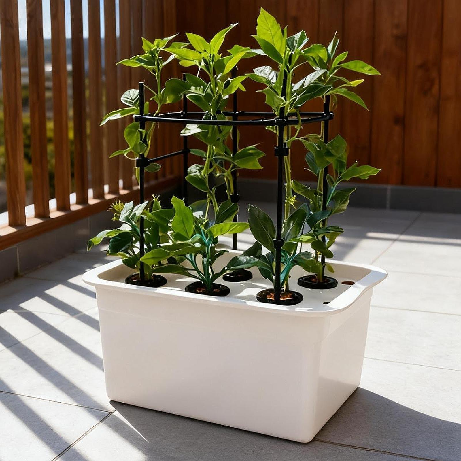 Hydroponic System Growing Box, - Hydroponic System review and price