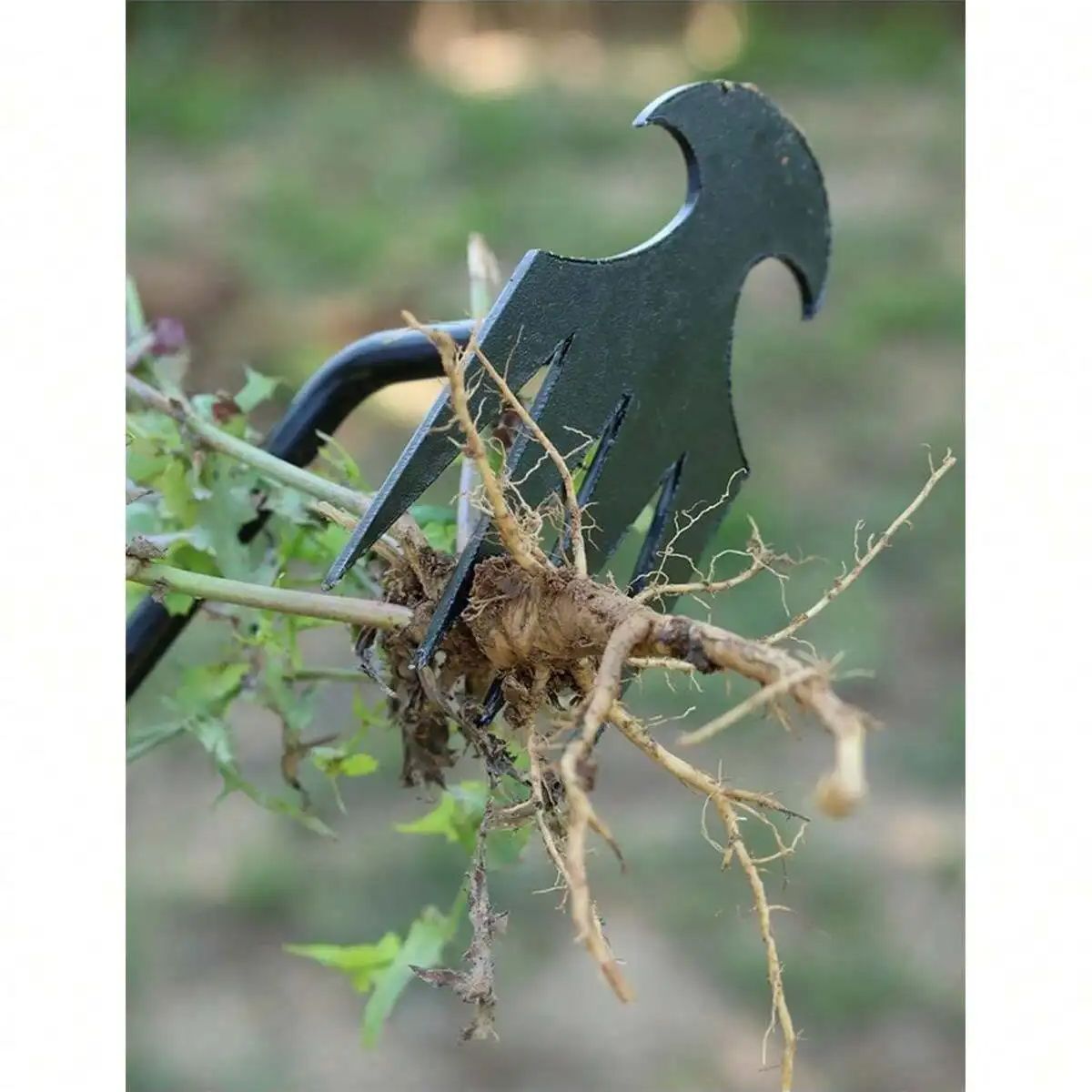 4 Teeths - Multifunctional Han - Gardening Tools For Weeds review and price