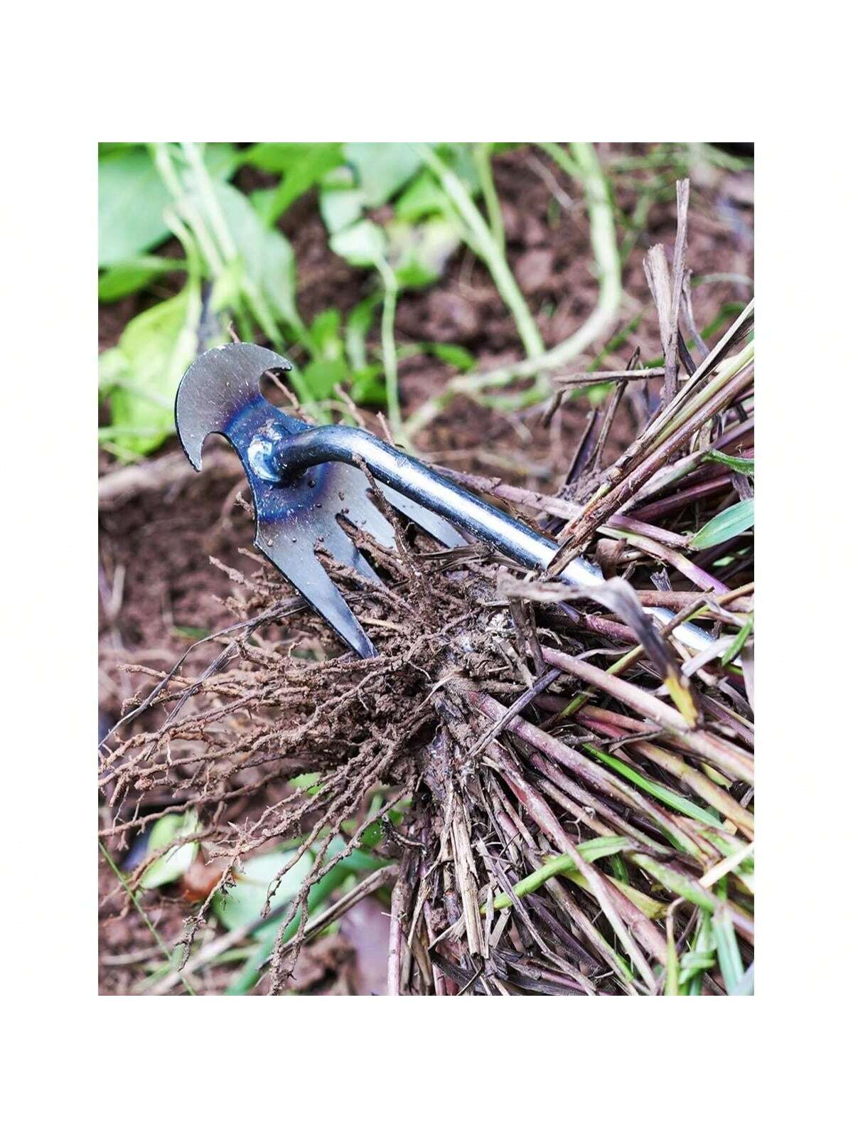 4 Teeths - Multifunctional Han - Gardening Tools For Weeds review and price