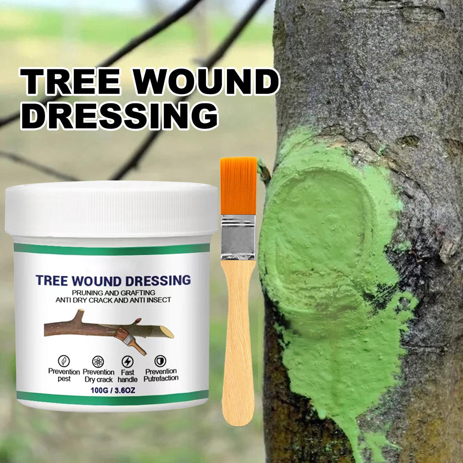 Tree Grafting Paste Tree Wound - Gardening Tools Women review and price