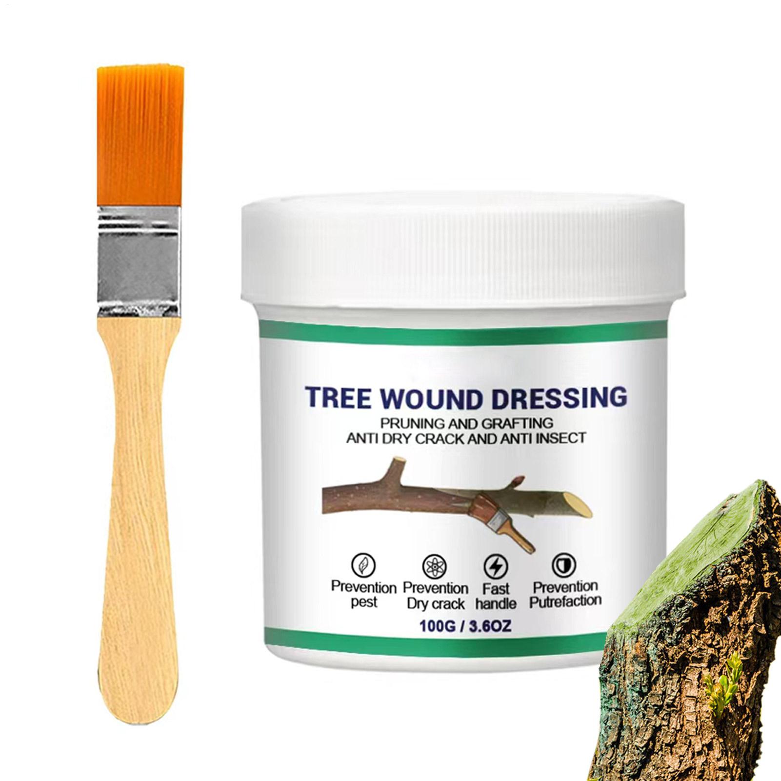 Tree Grafting Paste Tree Wound - Gardening Tools Women review and price
