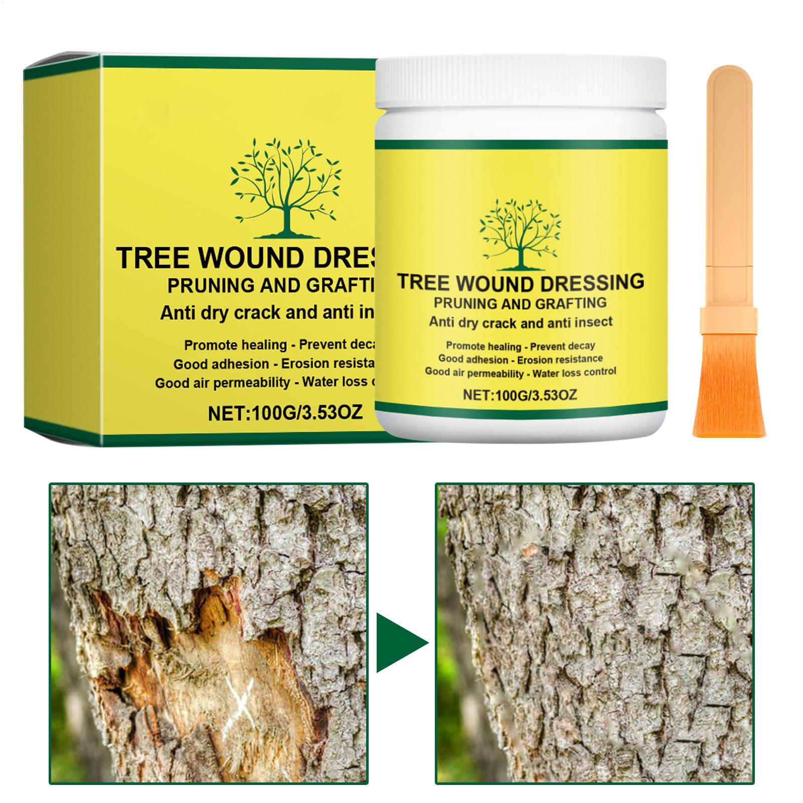 Tree Grafting Paste Tree Wound - Gardening Tools Women review and price