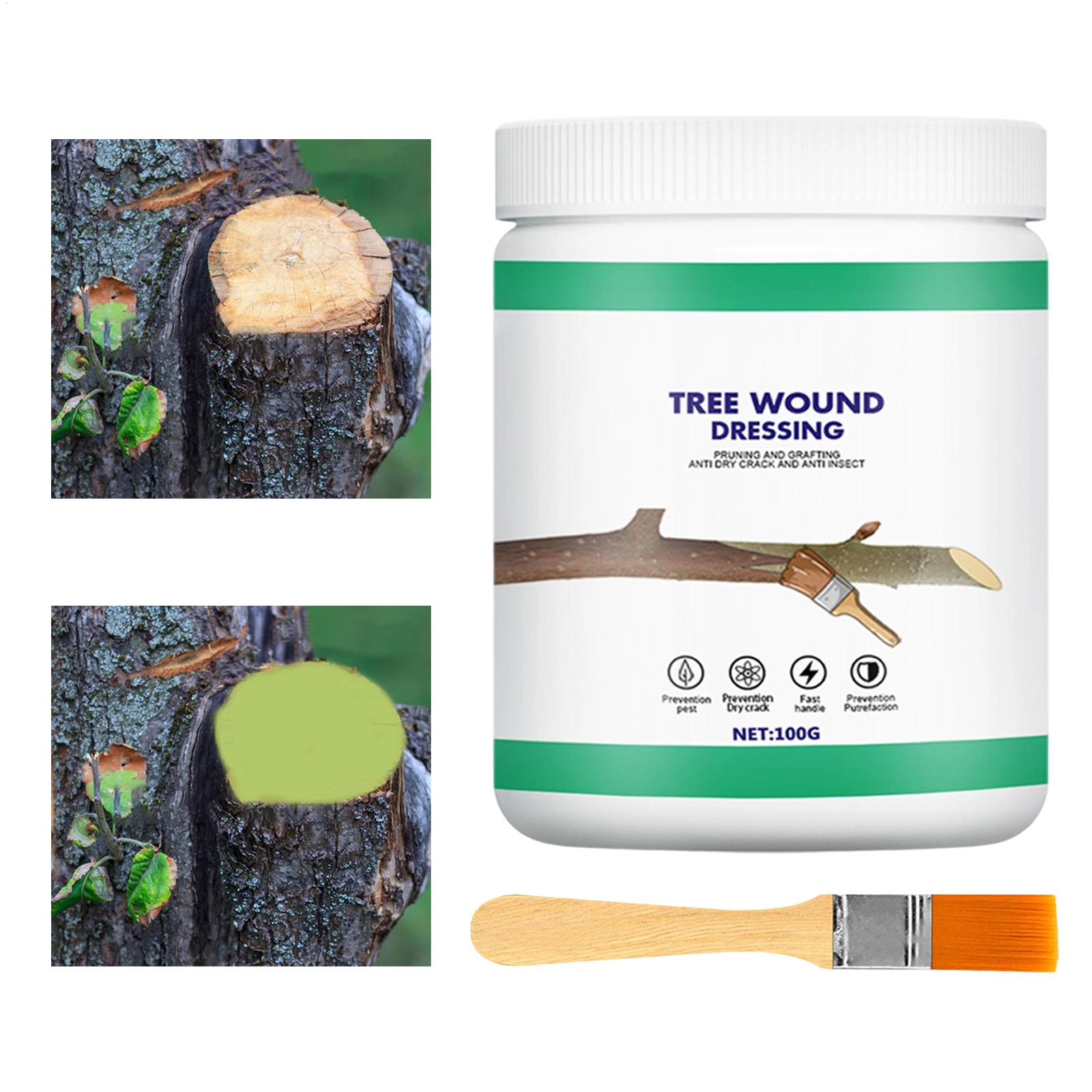 Tree Grafting Paste Tree Wound - Gardening Tools Women review and price