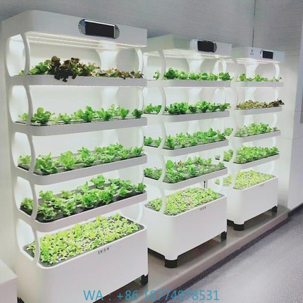 Hydroponic Automated Grow Syst - Hydroponic System review and price